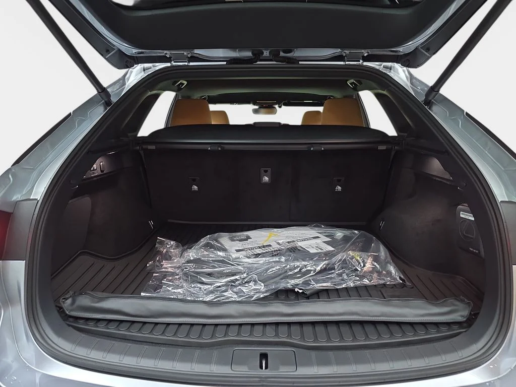 New 2026 Iridium Lexus PREMIUM image 12
