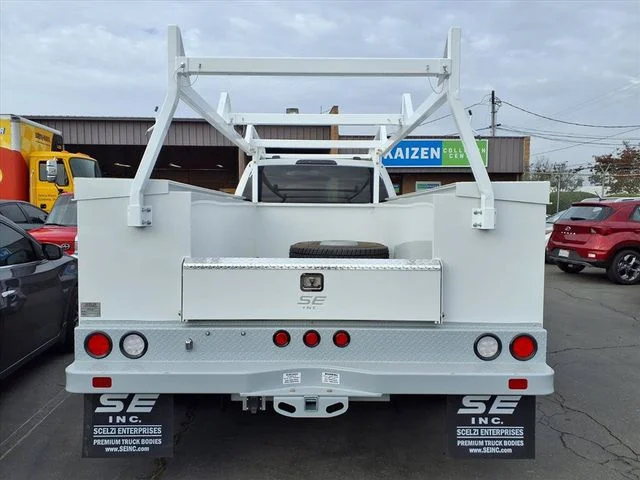 New 2024 Oxford White Ford XLT image 4