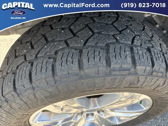 Used 2020 Black Ford Platinum image 14