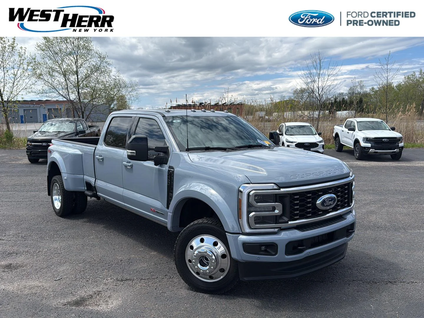 2025 Ford F-450 Platinum 4x4 Crew Cab 8' Box DRW's photo