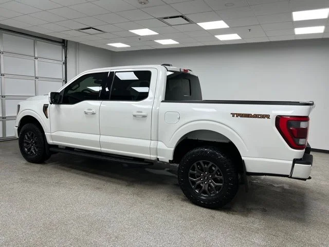 2023 Ford F-150 Tremor - Photo 7