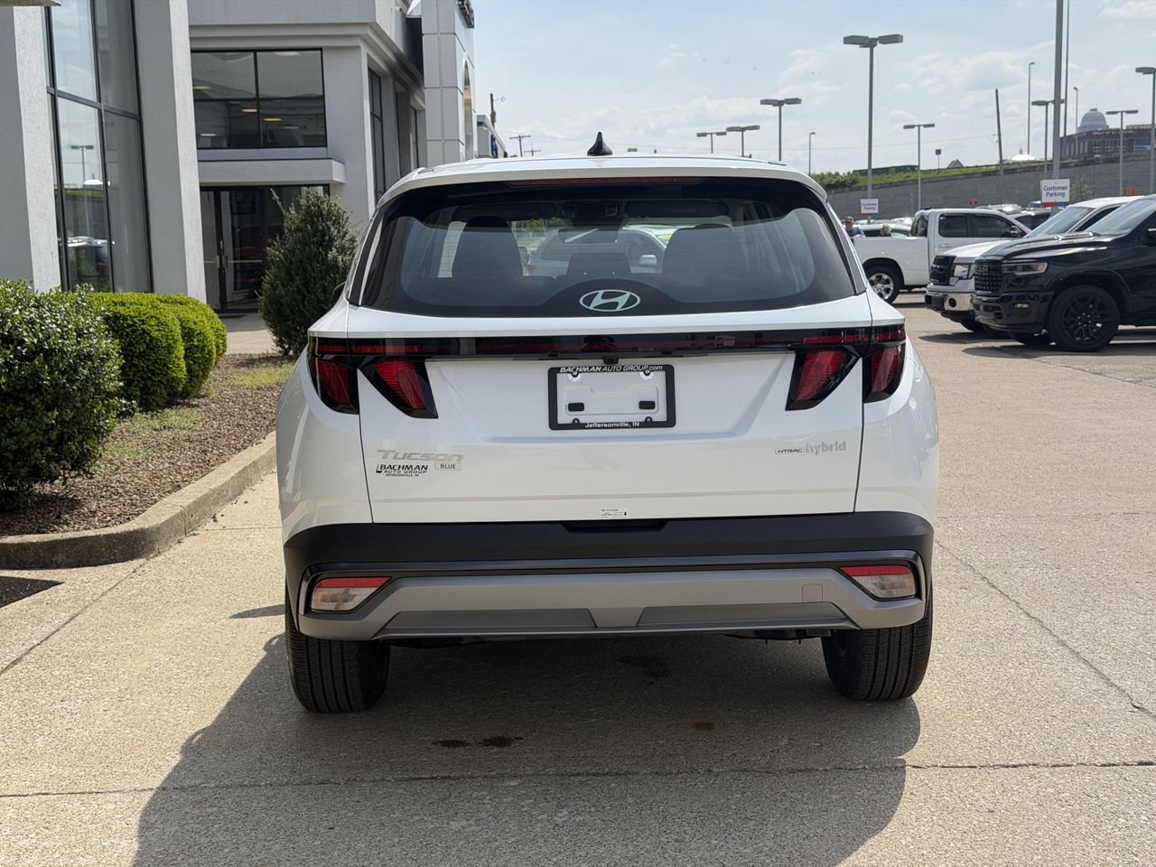 New 2026 Creamy White Pearl Hyundai Blue image 6