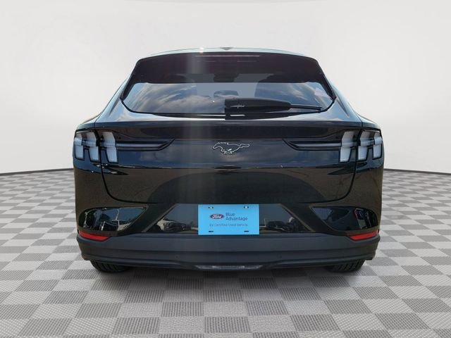 Certified Used 2025 Shadow Black Ford Premium image 4