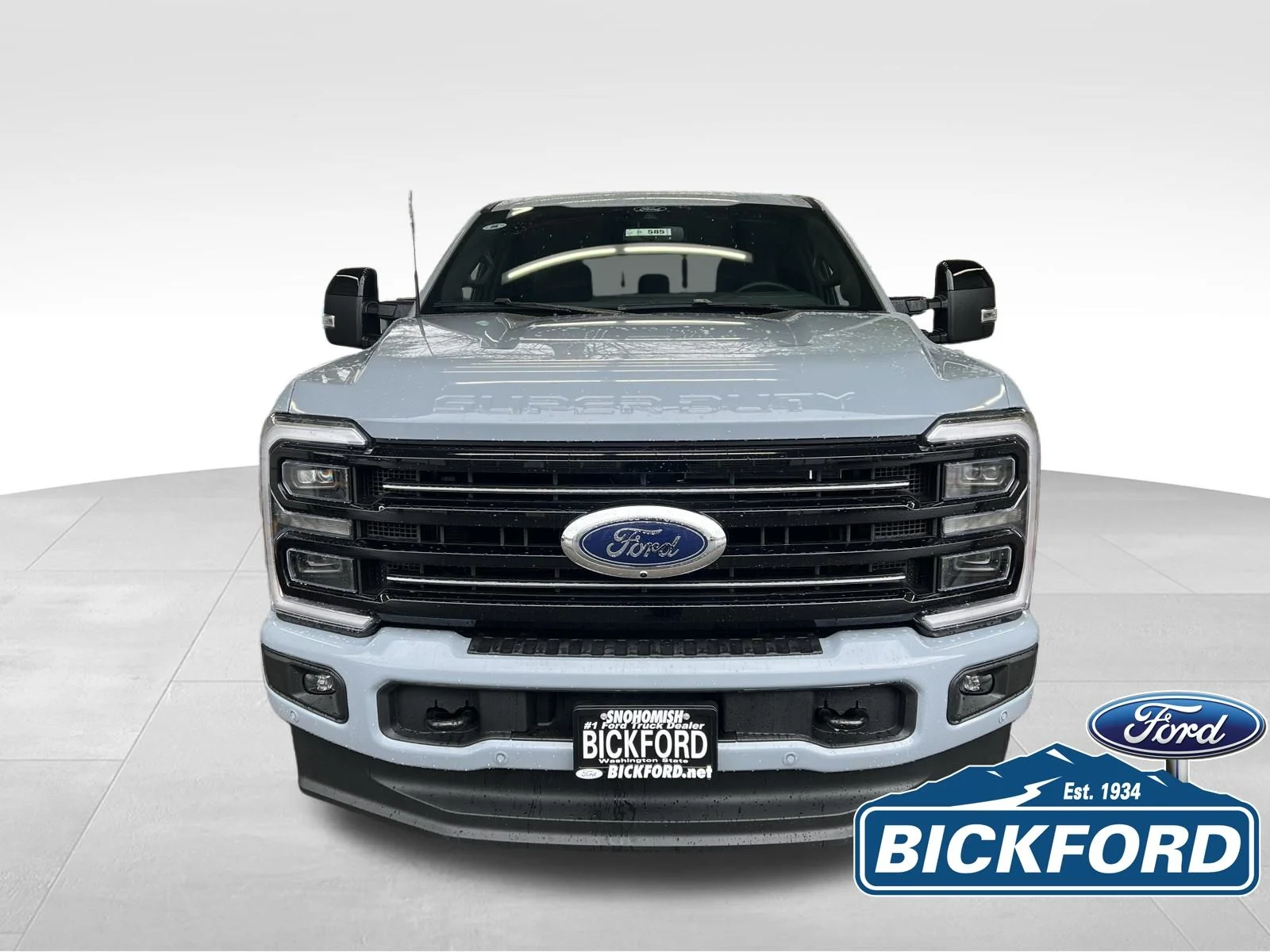 New 2026 Gray Ford Platinum image 2