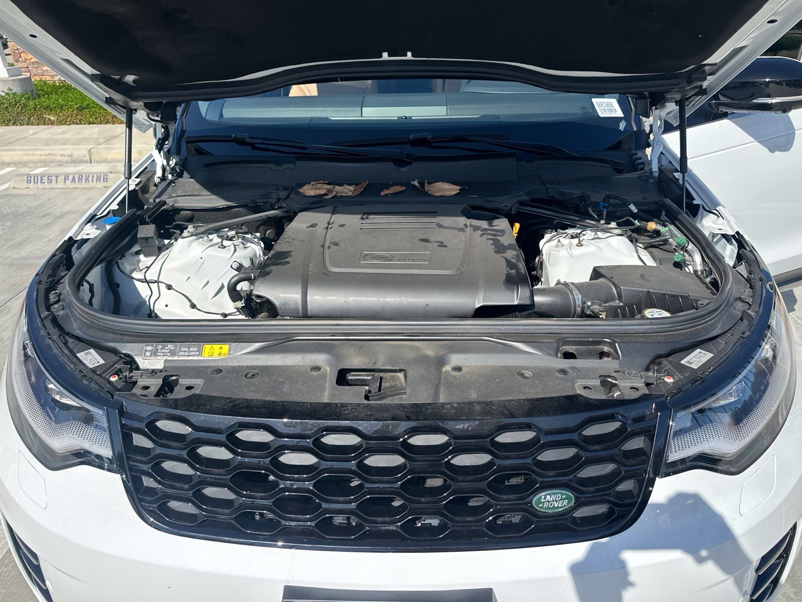 Used 2026 Fuji White Land Rover Dynamic SE image 13