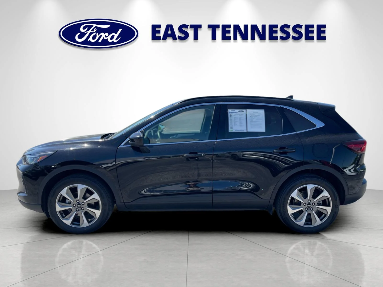 Used 2024  Ford Platinum image 6