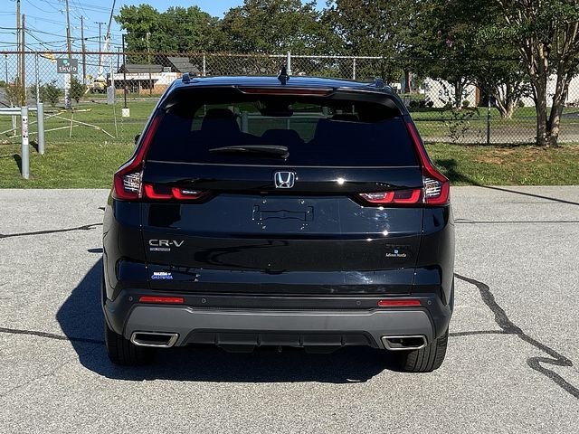 Used 2025  Honda Sport-L image 7