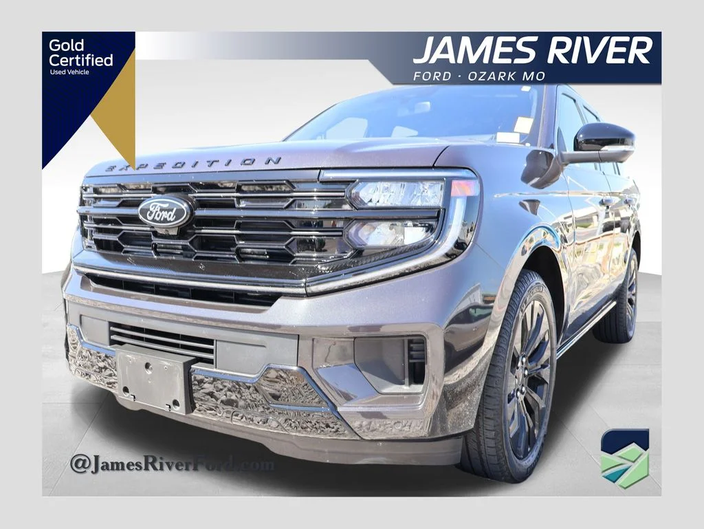 2025 Ford Expedition Platinum 4x4's photo