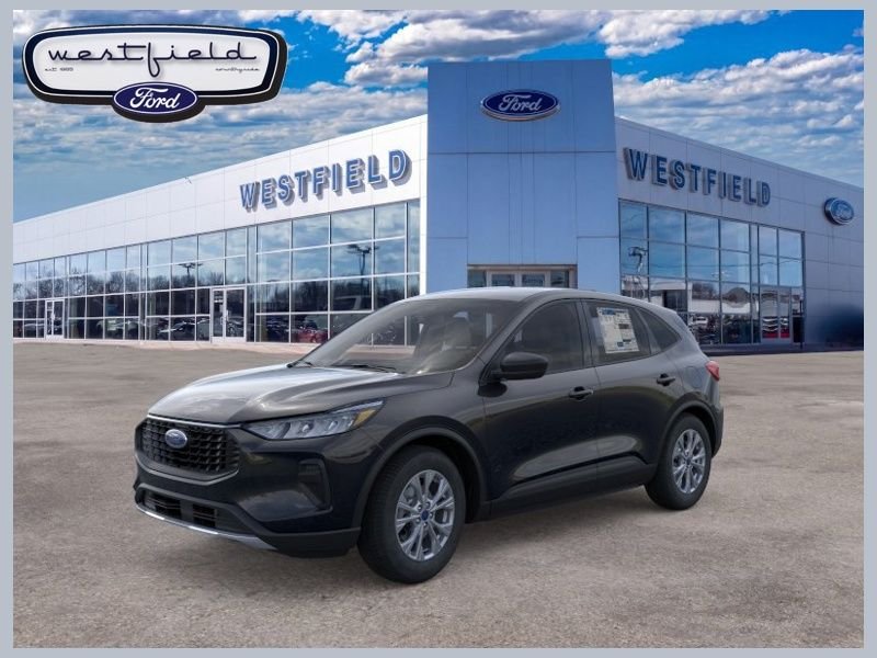 New 2026 Black Ford Active image 1