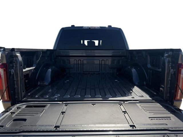 Used 2025 Gray Ford Raptor image 18