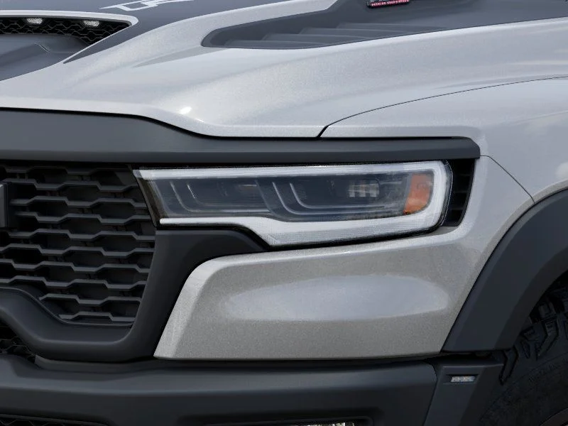 New 2026 Silver Zynith Exterior Paint RAM RHO image 10