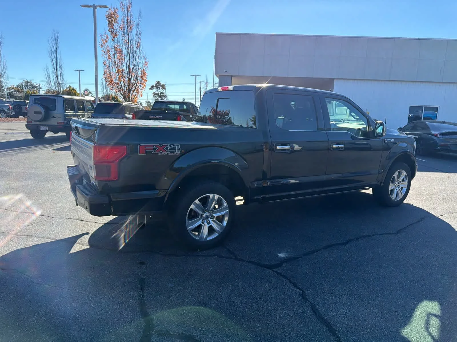 Used 2019 Agate Black Ford Platinum image 5
