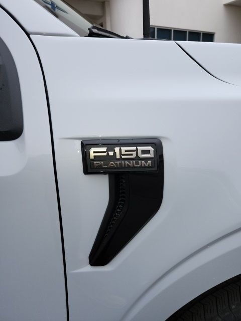 2025 Ford F-150 Platinum - Photo 27