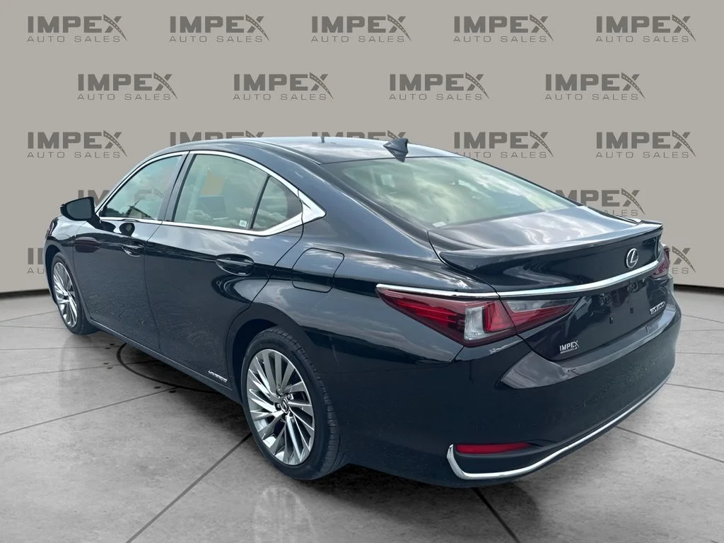 Used 2019 Black Lexus 300h Luxury image 2