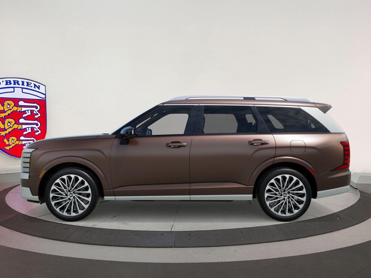 New 2026 Earthy Brass Matte Hyundai Calligraphy image 41