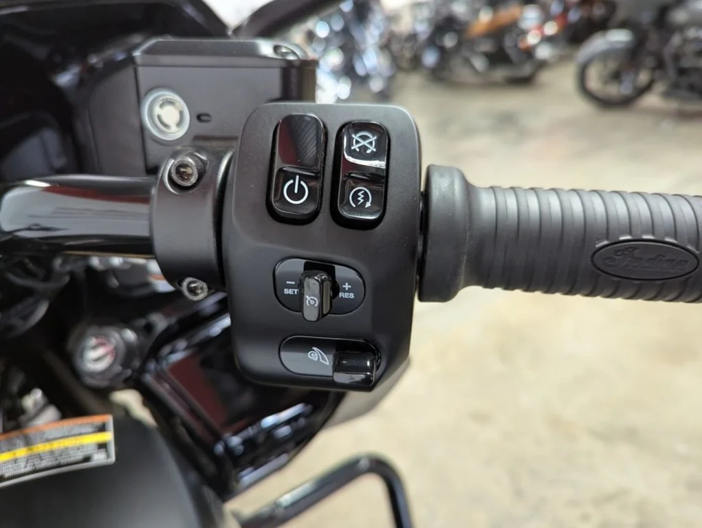 New 2026 BLACK SMOKE Indian Motorcycle  image 17
