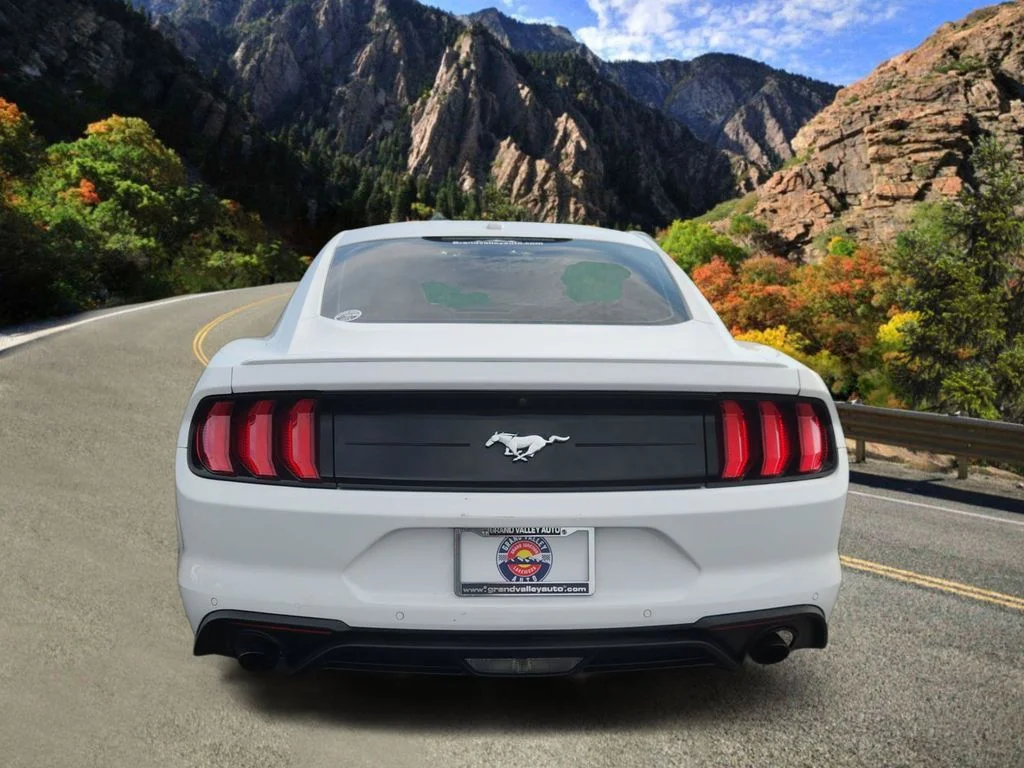 Used 2020 White Ford EcoBoost Premium image 4