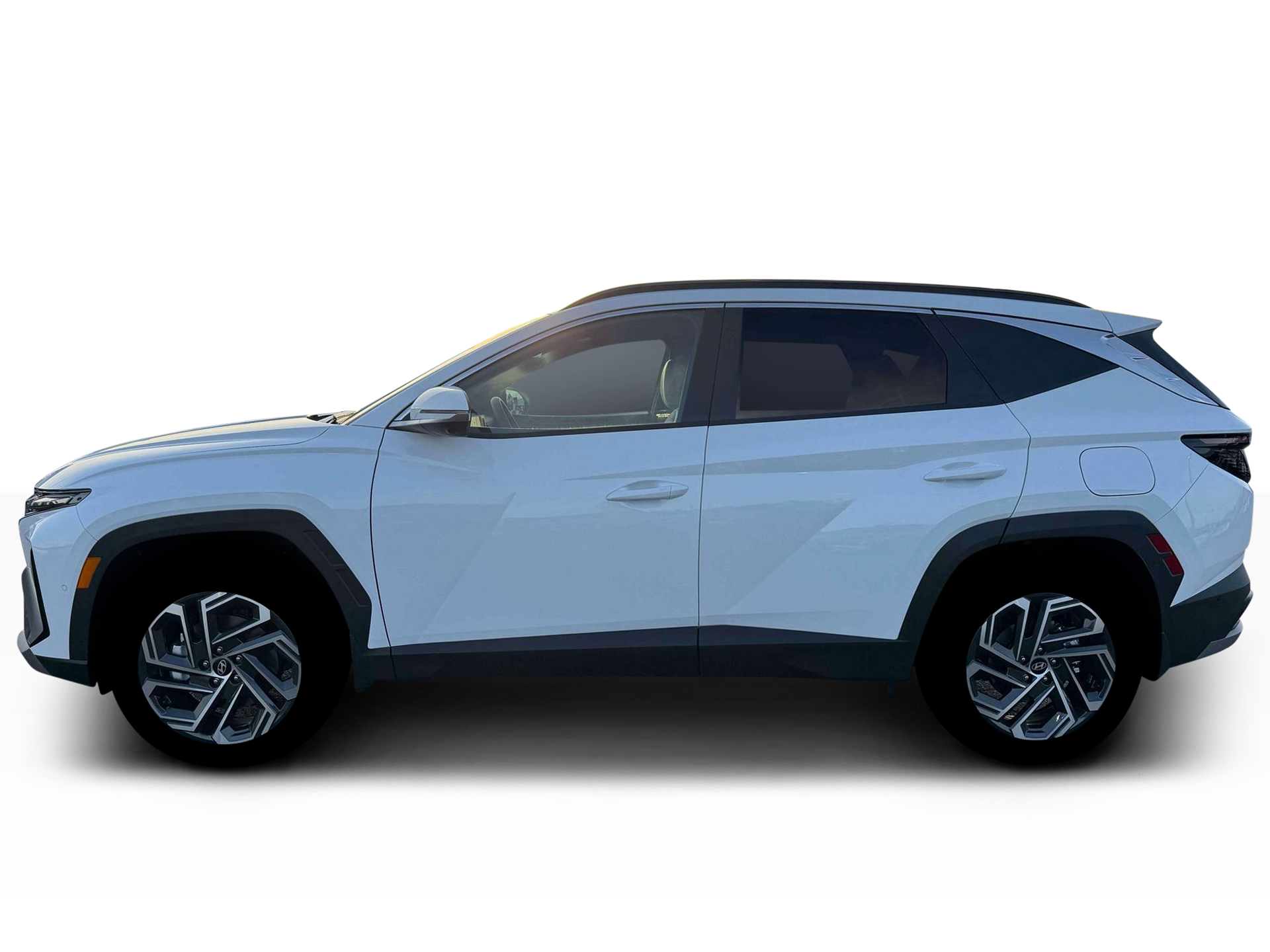 New 2026 Creamy White Pearl Hyundai Limited image 17