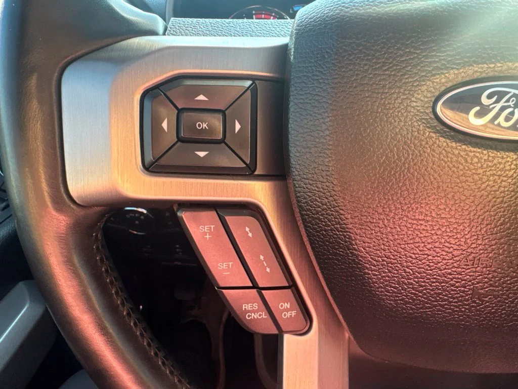 Used 2017 Gray Ford Platinum image 19