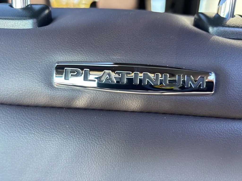 New 2026 White Ford Platinum image 22