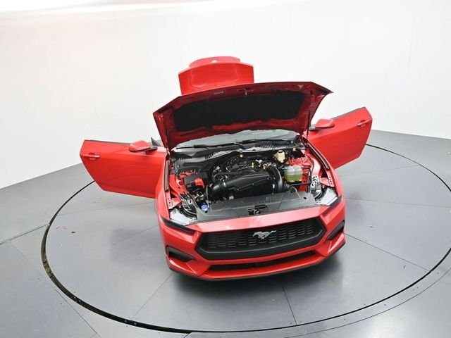 New 2026 Race Red Ford EcoBoost® Premium Fastback image 41