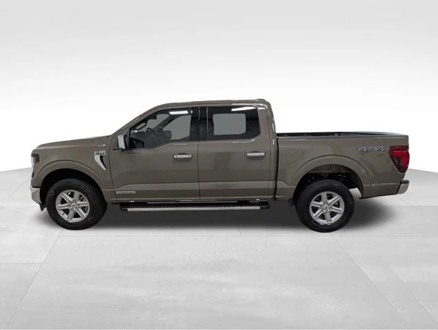 New 2025 Marsh Gray Ford XLT image 13