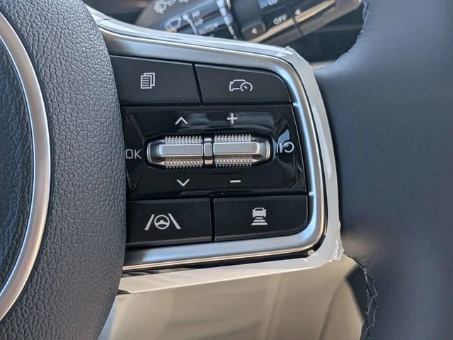 New 2026 Panthera Metal Kia SX Prestige image 24