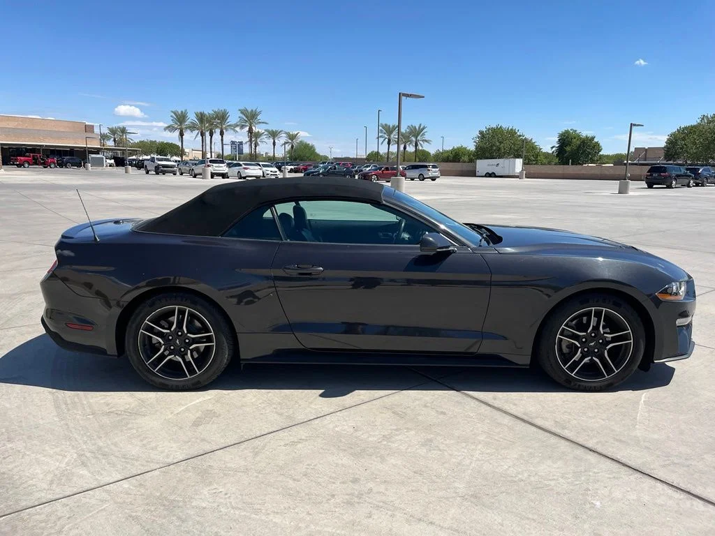 Used 2023 Gray Ford EcoBoost Premium image 5