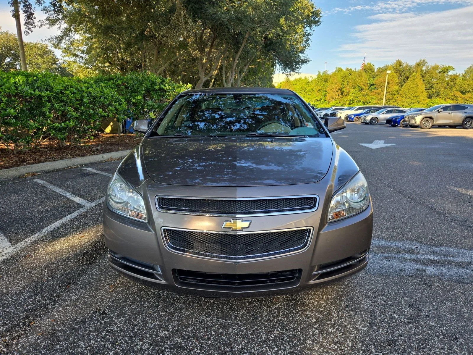 Used 2010 Chevrolet Malibu 1LT with VIN 1G1ZC5EB8AF218538 for sale in Clearwater, FL