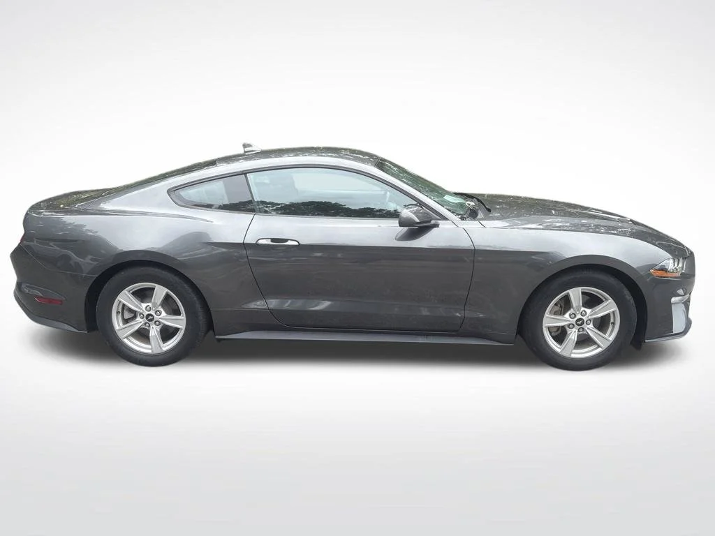 Used 2020 Gray Ford EcoBoost image 5