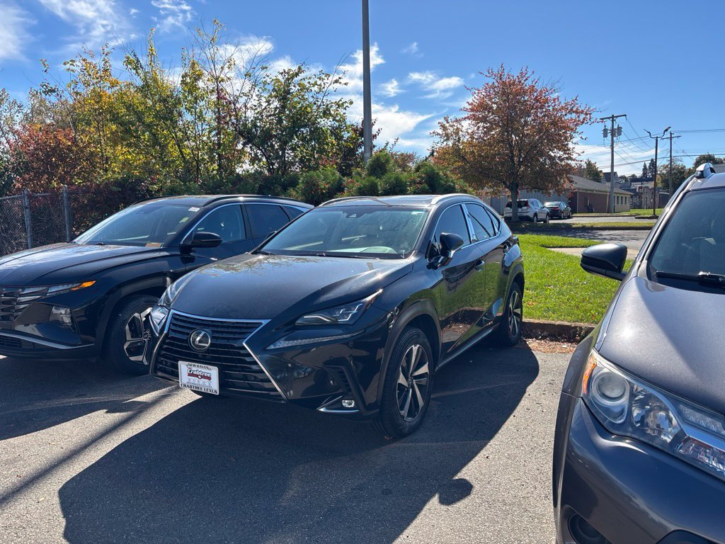 Used 2019 Black Lexus 300 Base image 1