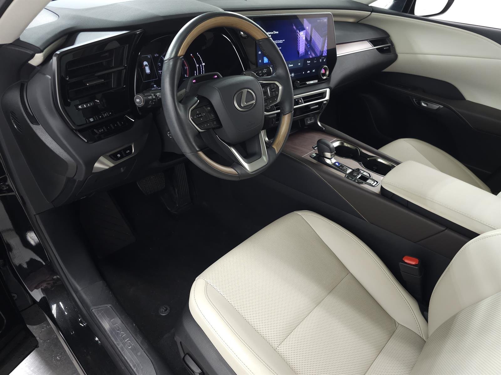 2024 Lexus RX 350 - Photo 17