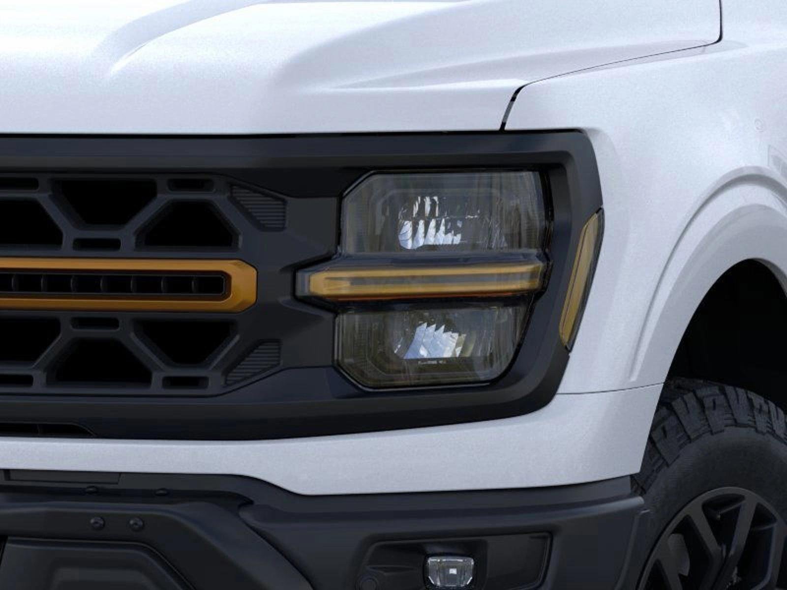 2025 Ford F-150 Tremor - Photo 18