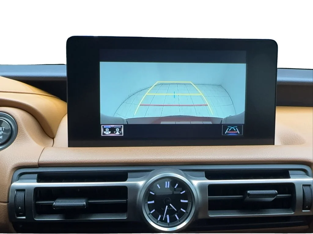 Used 2022 Red Lexus 300 image 45