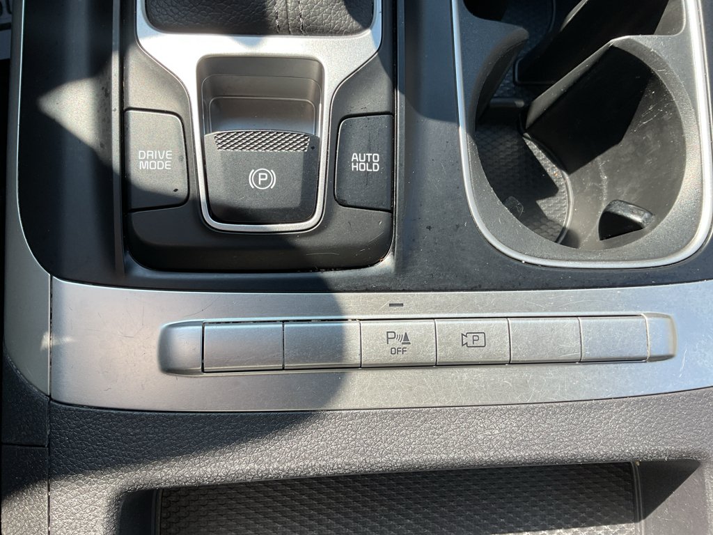 Used 2024 Panthera Metal Kia LX image 29
