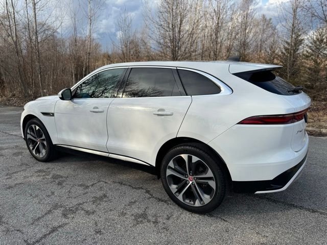 Used 2023 Fuji White Jaguar P250 S image 8