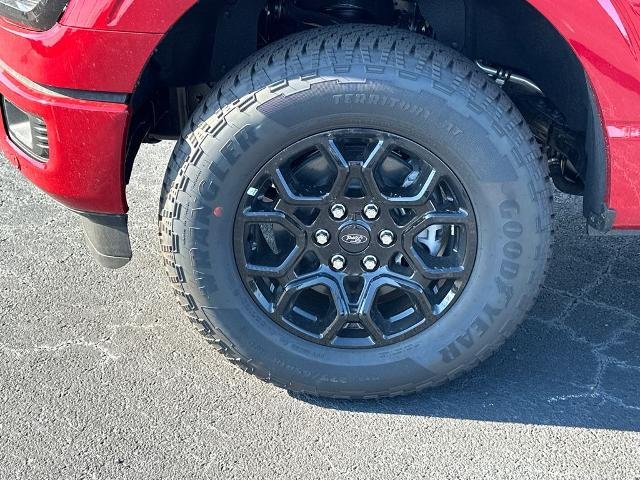 New 2025 Rapid Red Metallic Tinted Clearcoat Ford XLT image 11