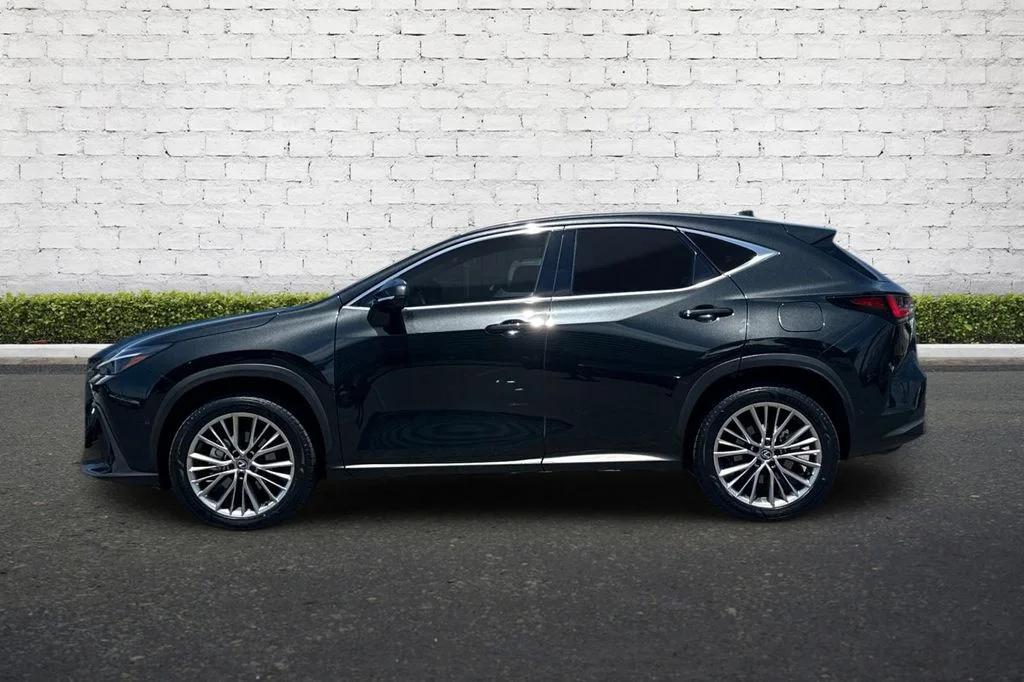 2025 Lexus NX Hybrid 350h - Photo 7