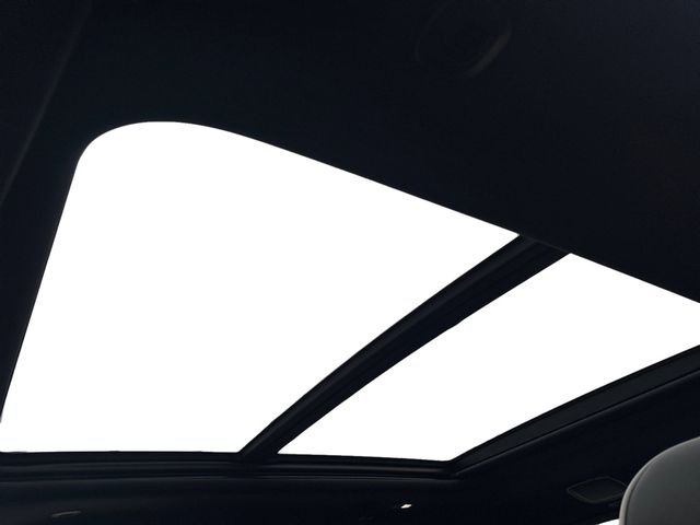 Used 2026 Black Ram Limited image 18