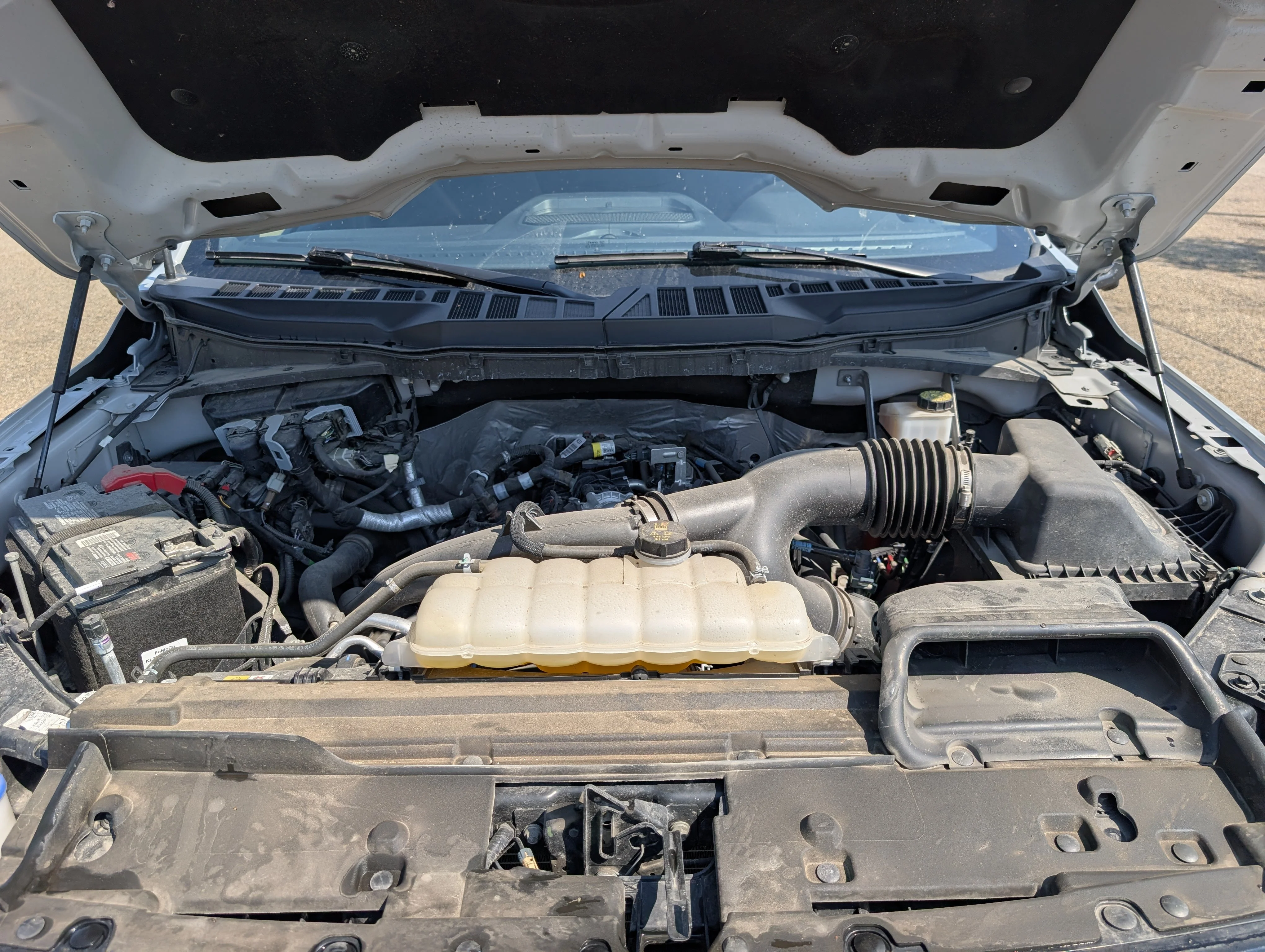 Used 2024 Avalanche Ford XLT image 34