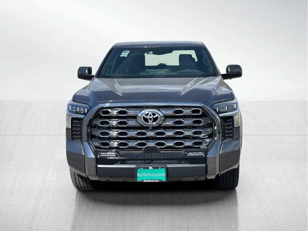 New 2026 Magnetic Gray Metallic Toyota Platinum image 8