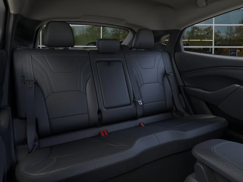 New 2026 Shadow Black Ford Premium image 33