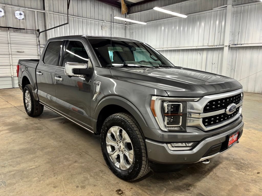 Used 2023 Gray Ford Platinum image 2