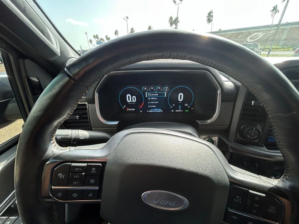 Used 2022 Black Ford Platinum image 13