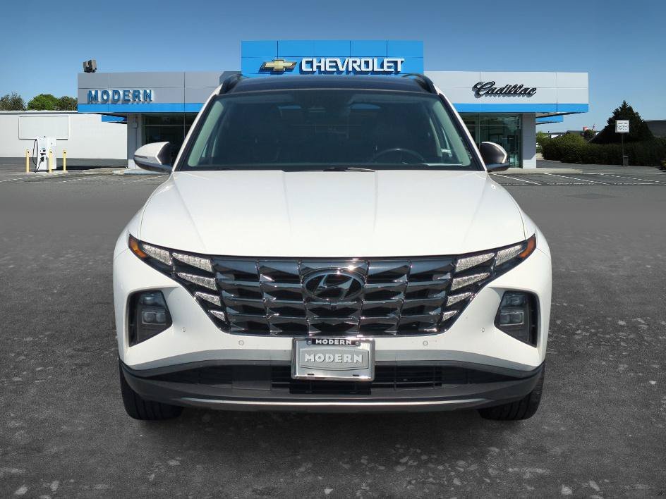 Used 2024 White Pearl Hyundai Limited image 8