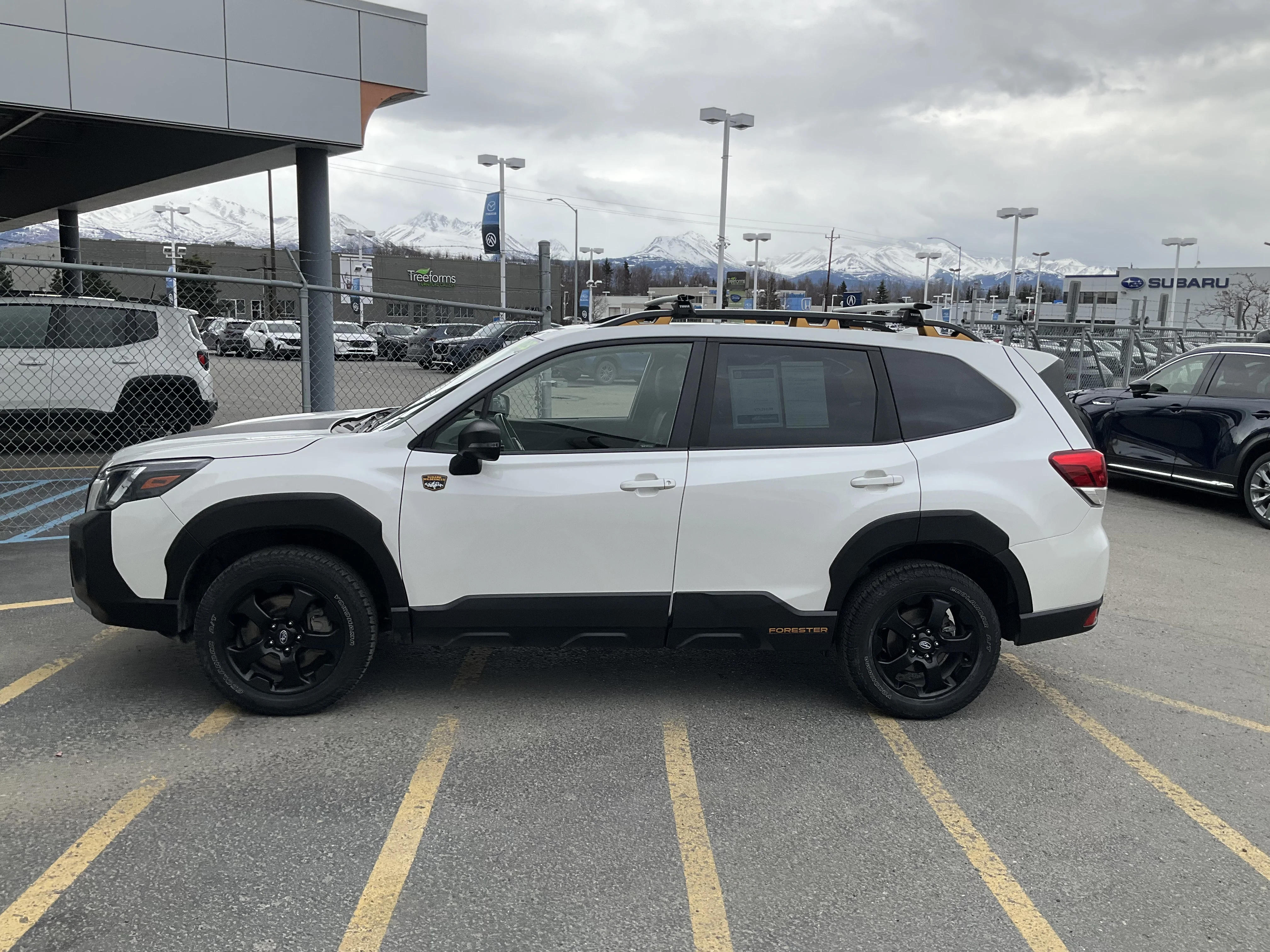 Used 2023 Crystal White Pearl Subaru Wilderness image 3
