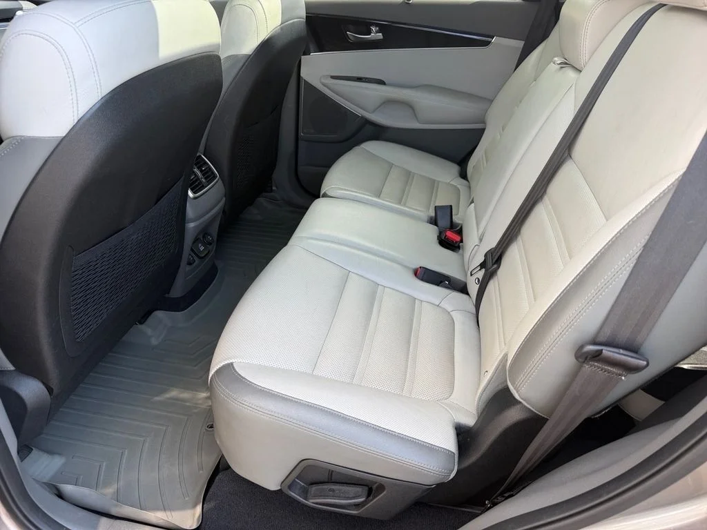 Used 2016 Titanium Silver Kia SX image 14