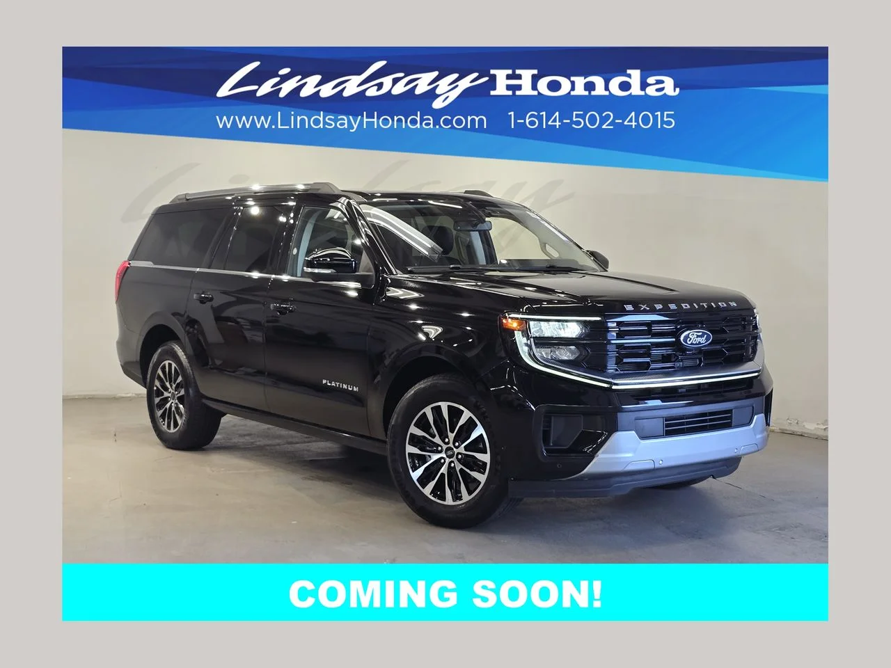 2025 Ford Expedition Platinum MAX 4x4's photo