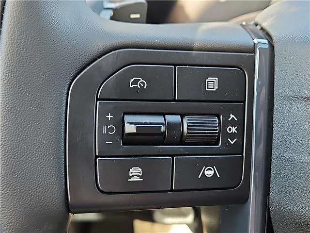 New 2027 Terrain Brown KIA  image 16