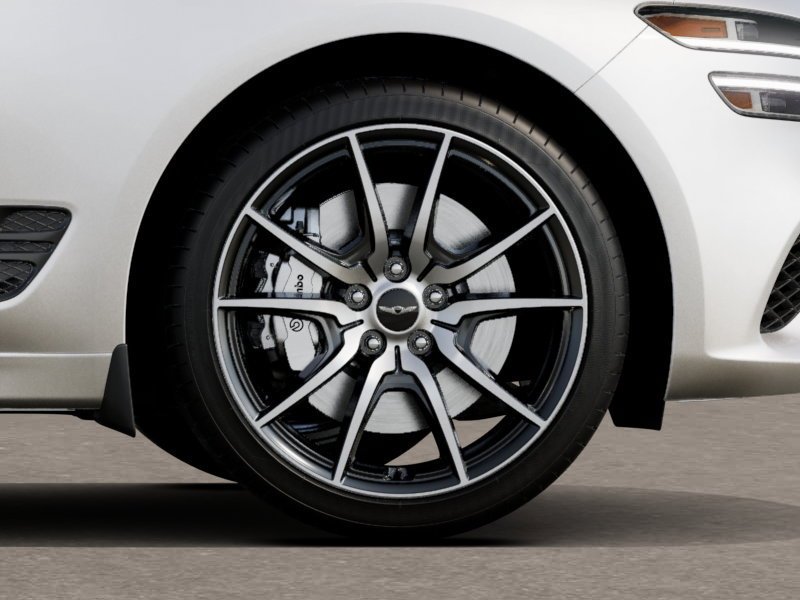 New 2027 Alta White Genesis Standard image 8